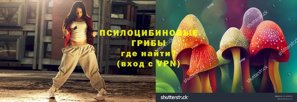 скорость Заводоуковск