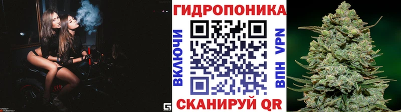 Бошки Шишки сатива  наркошоп  shop клад  Нерюнгри 